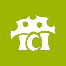 Instituto Clínico Infantil