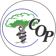 Centro Ortopédico Podológico