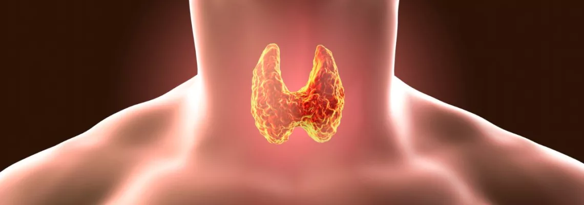 Trastornos de la Tiroides: Síntomas, Diagnóstico y Opciones de Tratamiento
