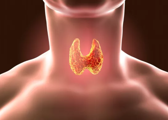 Trastornos de la Tiroides: Síntomas, Diagnóstico y Opciones de Tratamiento