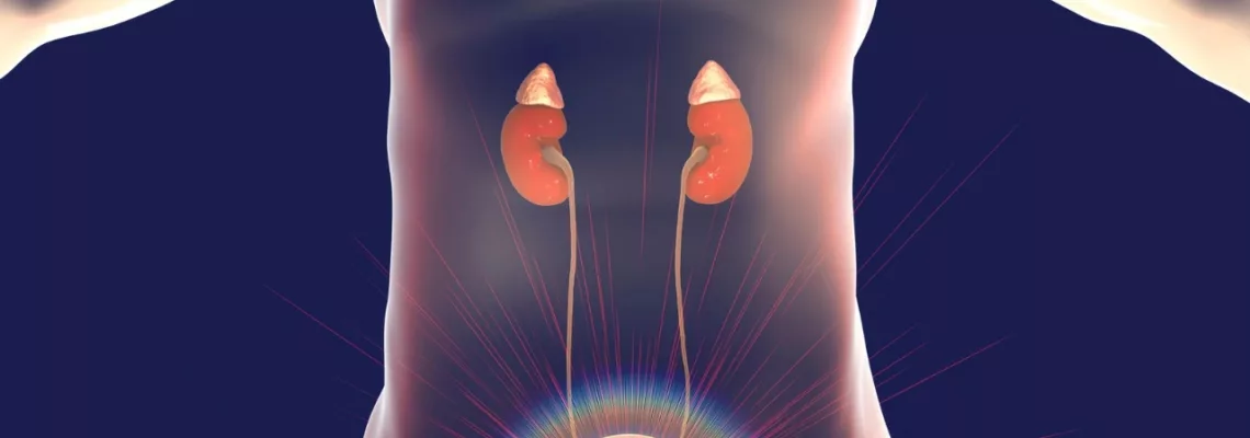 Hiperplasia Prostática Benigna (HPB): Desmitificando Conceptos y Preocupaciones