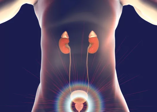 Hiperplasia Prostática Benigna (HPB): Desmitificando Conceptos y Preocupaciones