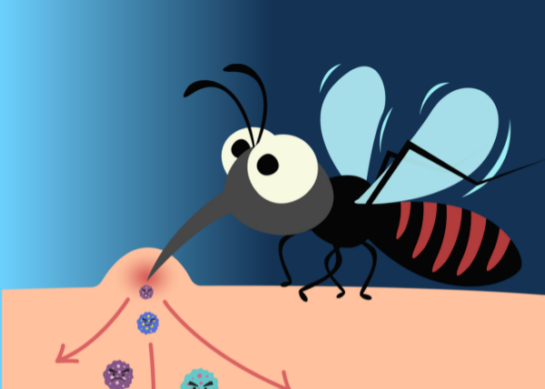 Dengue: Síntomas, Prevención y Tratamiento Efectivo