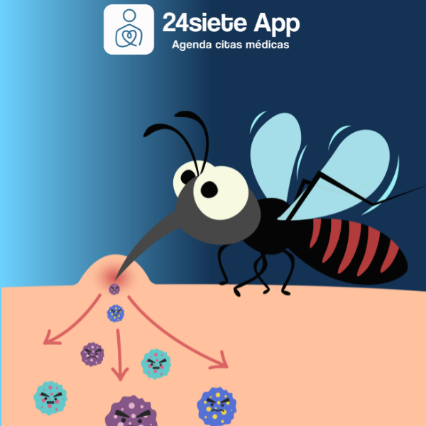 Dengue: Síntomas, Prevención y Tratamiento Efectivo